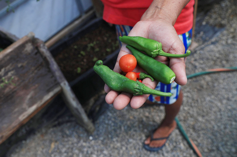 Migrantes varados en la frontera norte de México cultivan sus propios alimentos ante difícil situación