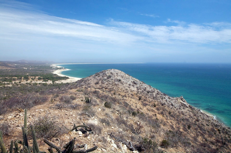 Advierten ONG de daños al Golfo de California por proyecto de gas natural