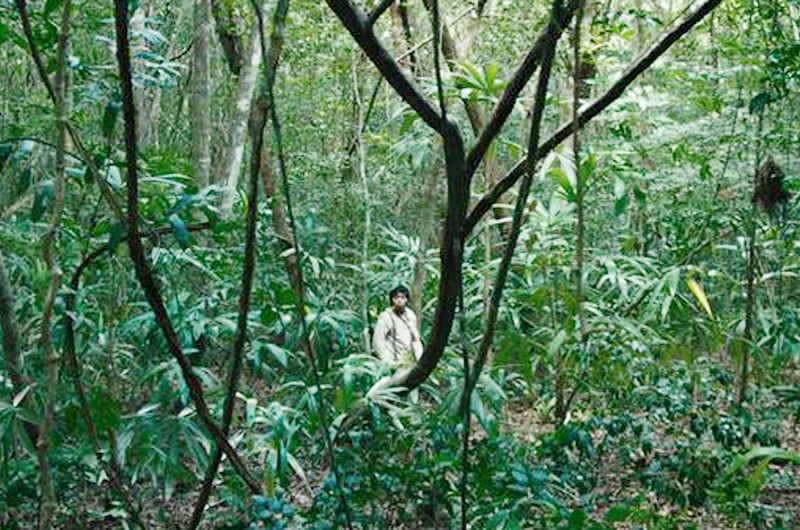 Película ”Selva Trágica” mostrará a México en La Mostra de Venecia