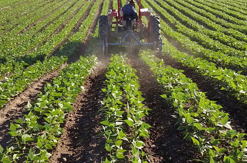 México y Estados Unidos pactan fortalecer sector agroalimentario