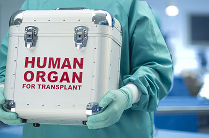 Consigue REACH registrar a 100 hispanos como donadores de órganos