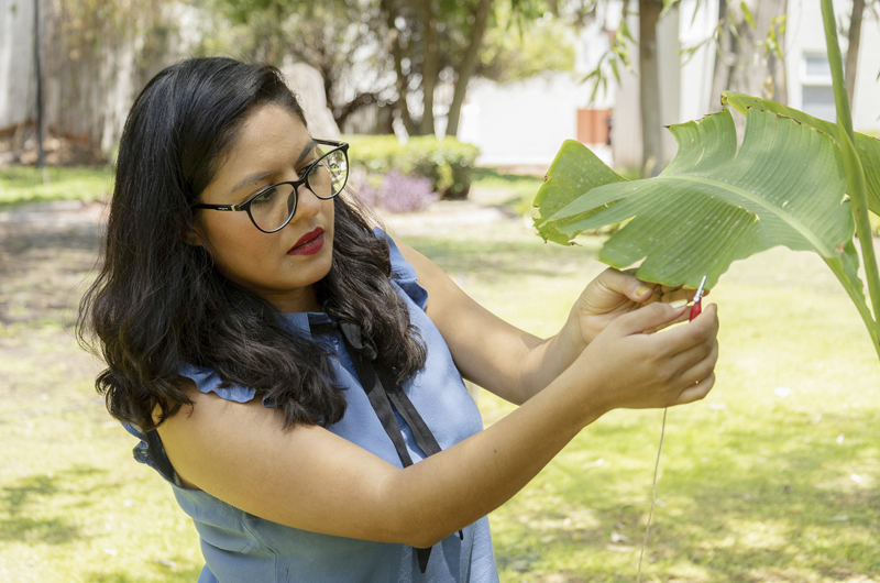 Una científica mexicana produce música generada con sonidos de las plantas