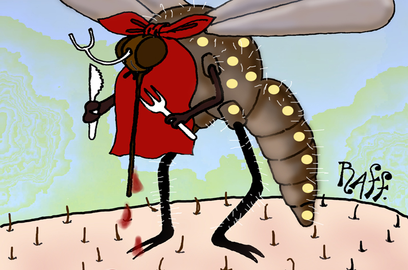 Editorial: Mosquitos y sarampión... a extremar la higiene