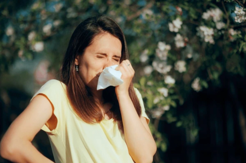¿Por qué proliferan las alergias con las altas temperaturas?