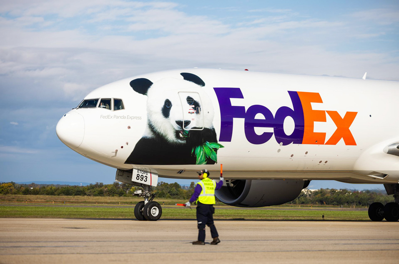 China entrega dos pandas gigantes al Zoológico Nacional de Washington