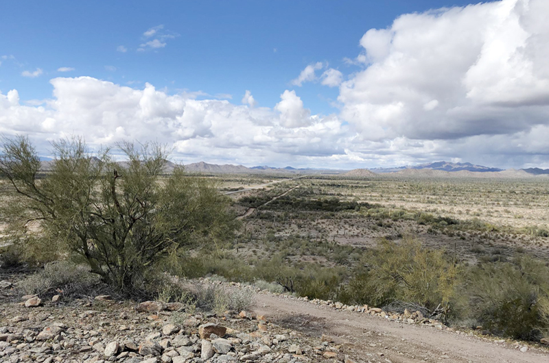 Alarma por desaparición de jóvenes mujeres migrantes en desierto de Arizona 