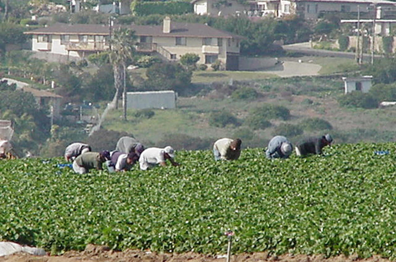 Uno de cada cuatro trabajadores en EE.UU. gana menos de 17 dólares la hora, según Oxfam