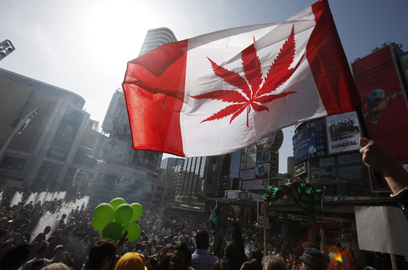 Advierten en Canadá sobre riesgos de consumir marihuana