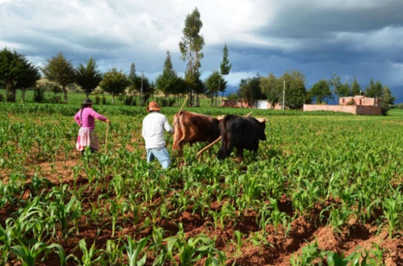 La Agencia Espacial Mexicana busca productividad agrícola con satélites