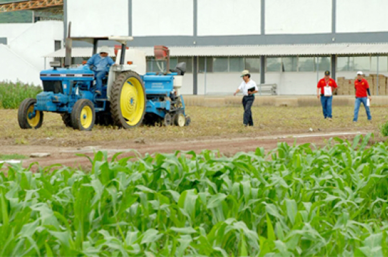 Se comprometen EUA, México y Canadá a mejorar competitividad agrícola